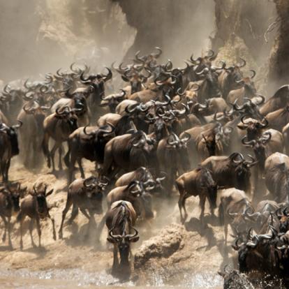 Voyage au Kenya : A la découverte des Parcs Kenyans